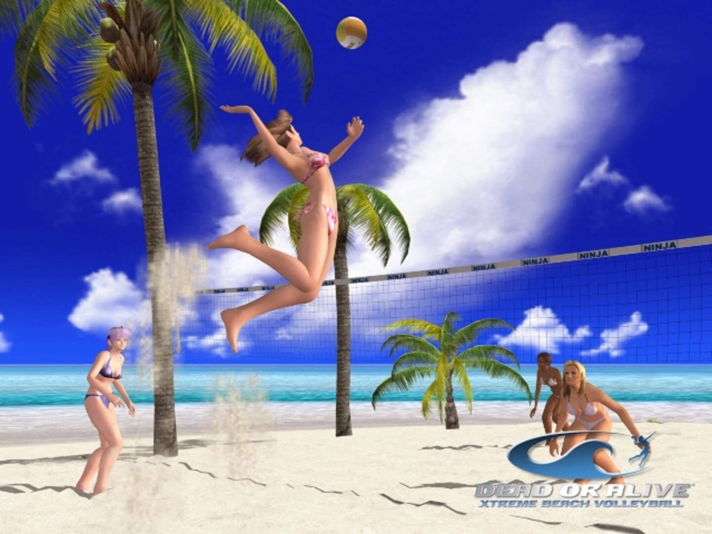 Dead or Alive Xtreme Beach Volleyball screenshot 4