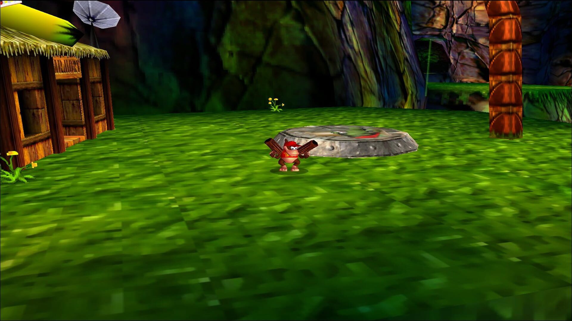 Donkey Kong 64 screenshot 1