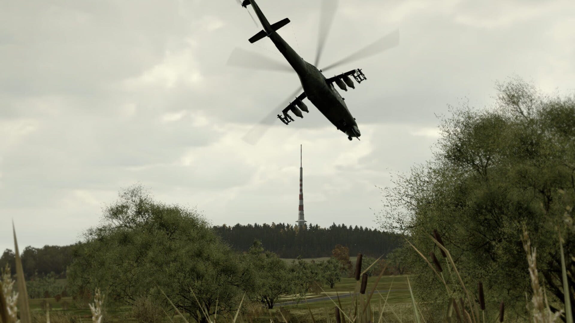 Arma 2 screenshot 4
