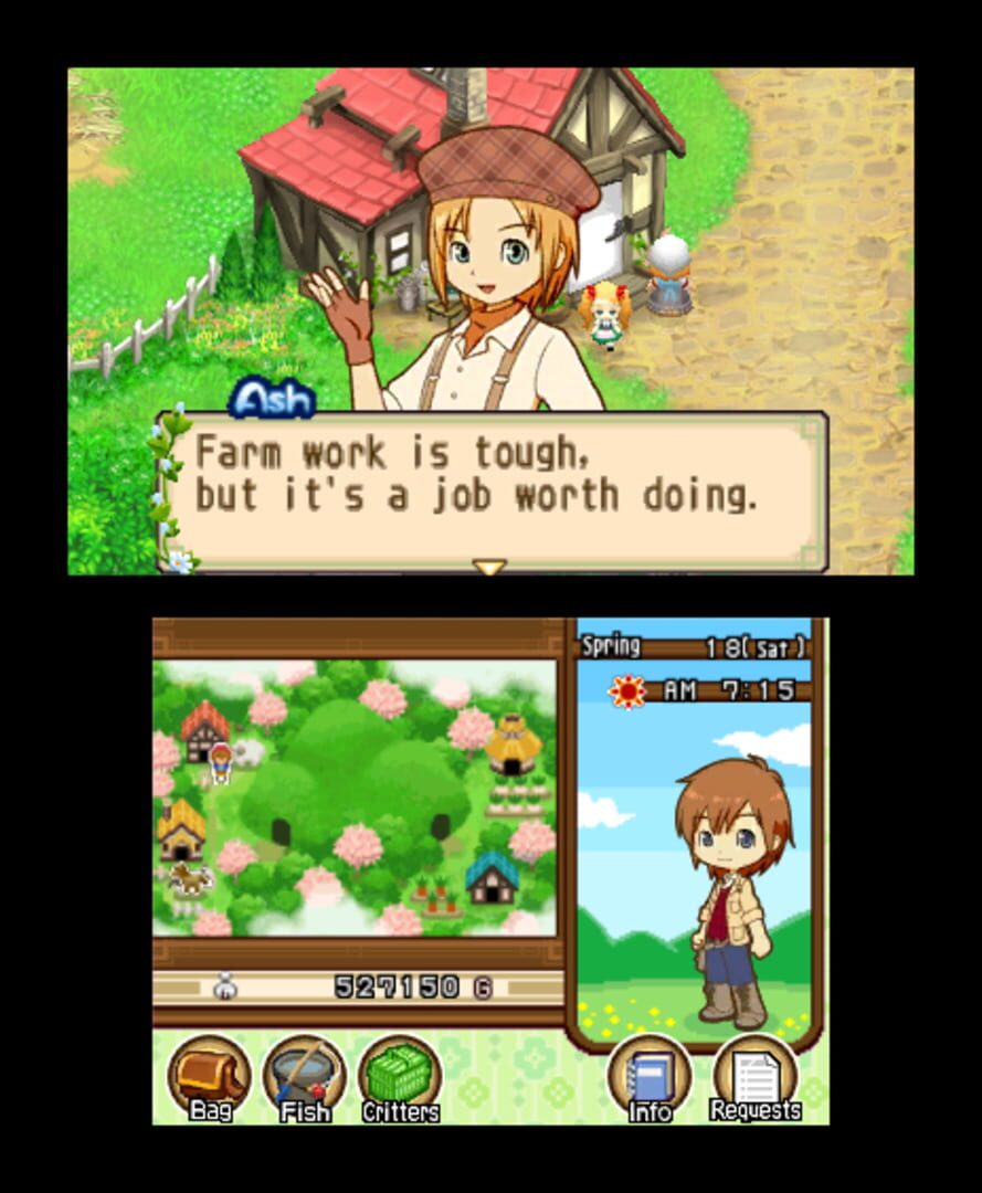 Harvest Moon: The Tale of Two Towns screenshot 9