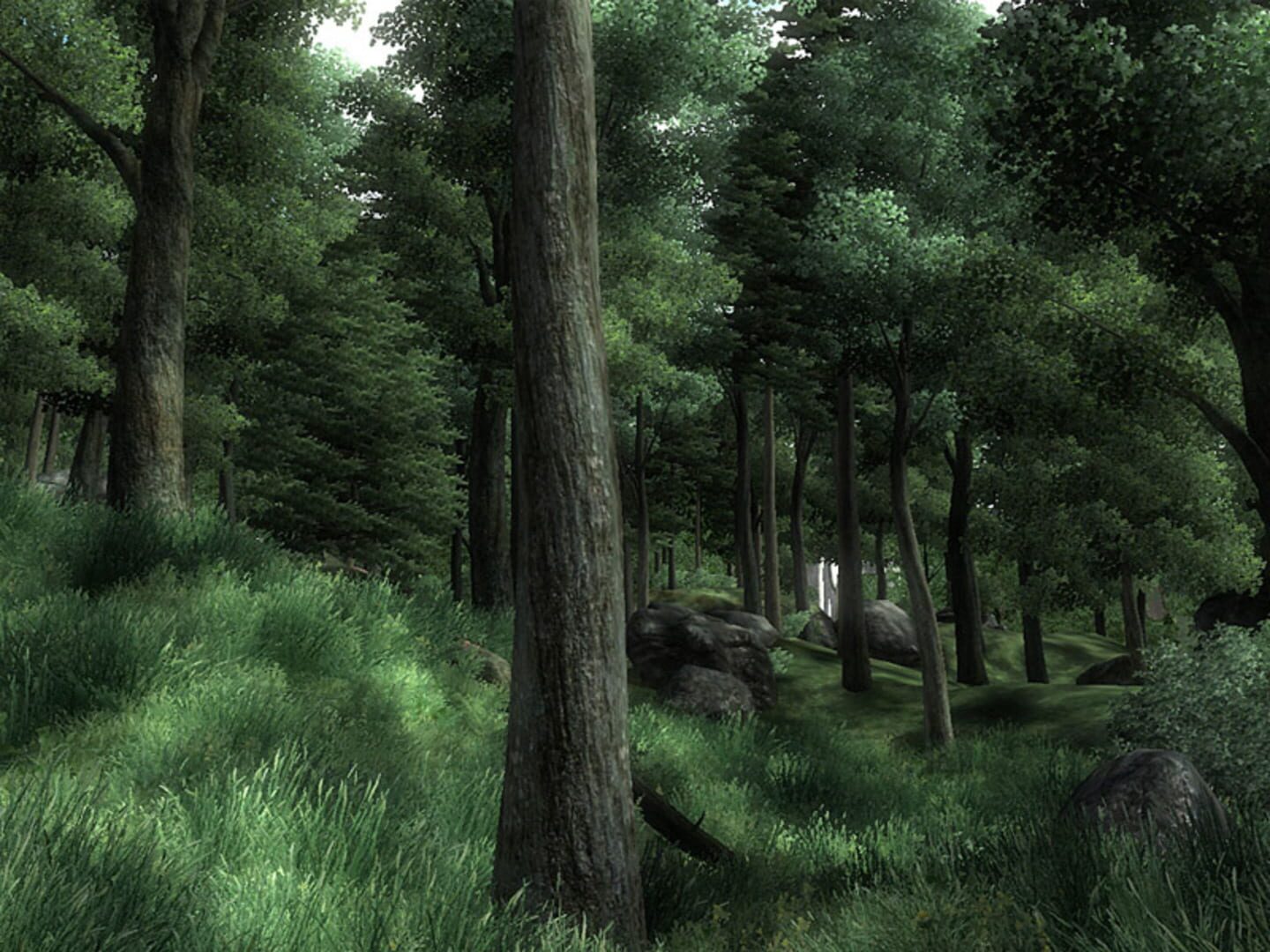 The Elder Scrolls IV: Oblivion screenshot 5