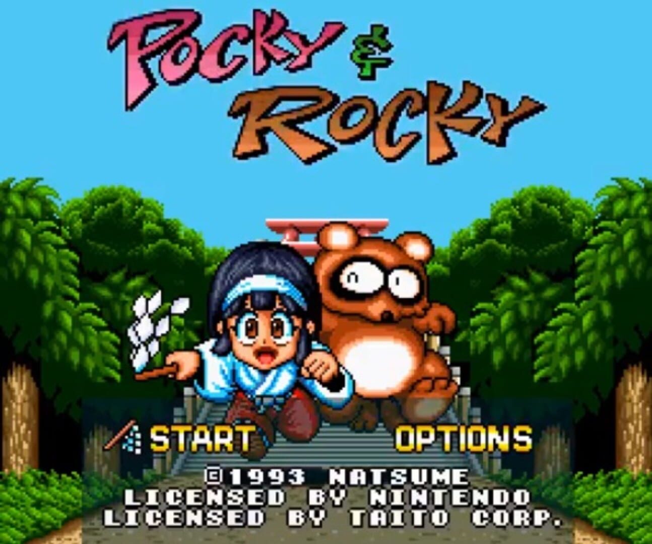 Pocky & Rocky screenshot 1
