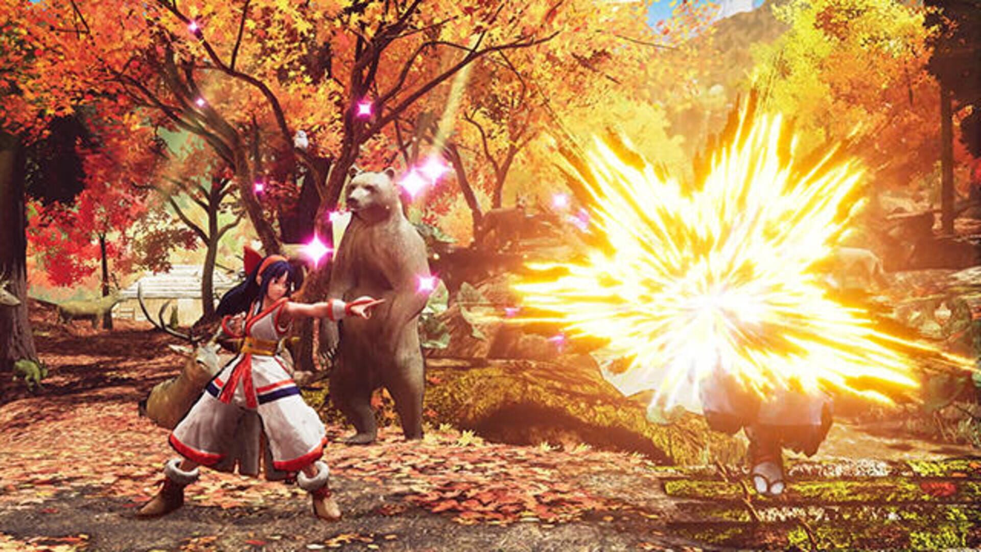 Samurai Shodown screenshot 5