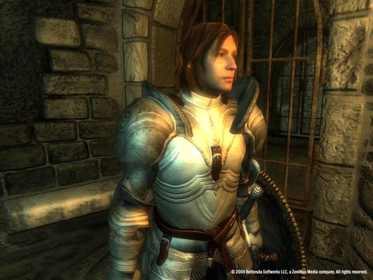 The Elder Scrolls IV: Oblivion - Game of the Year Edition screenshot 5