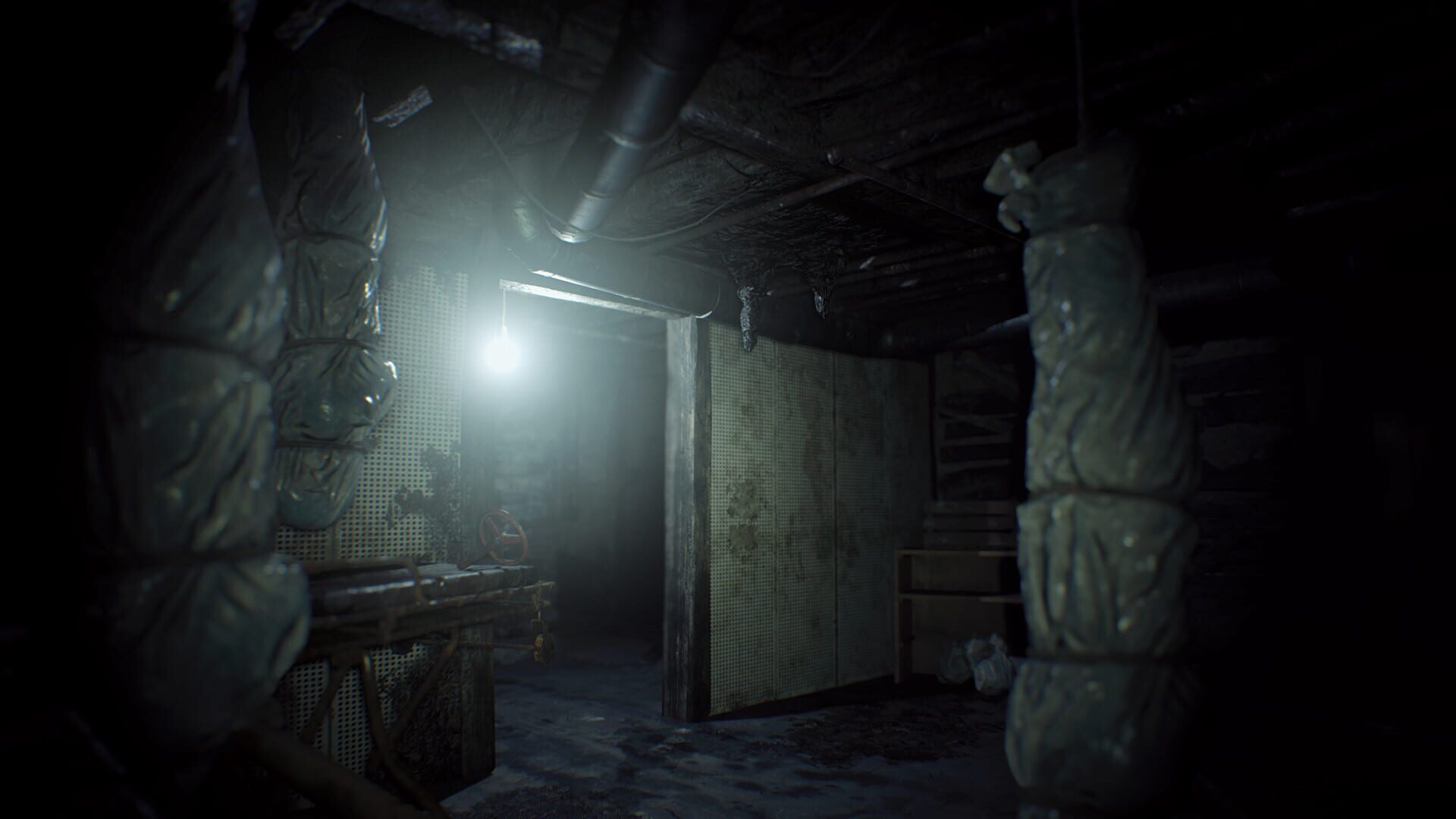 Resident Evil 7 Teaser: Beginning Hour screenshot 6