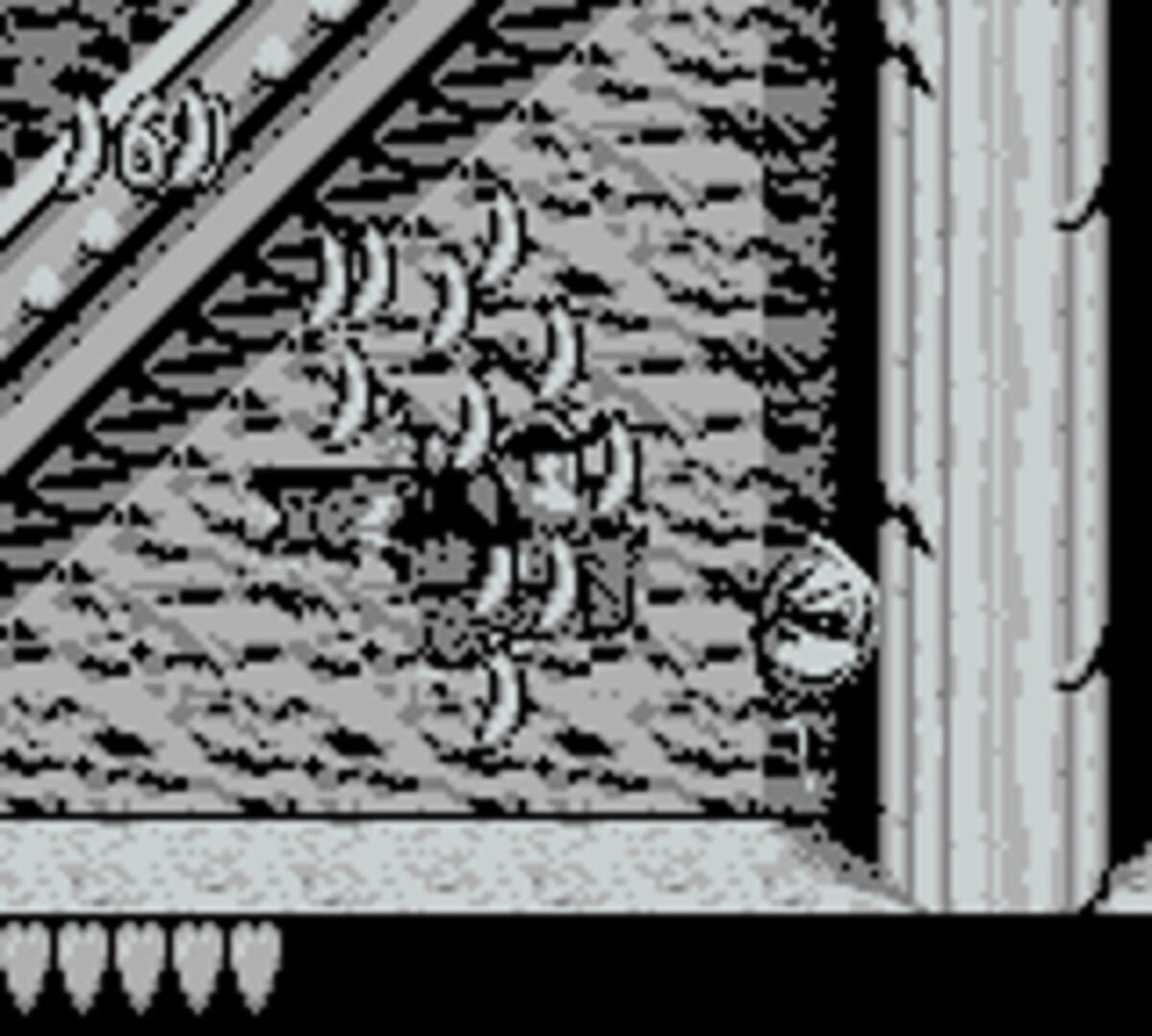 Donkey Kong Land screenshot 3