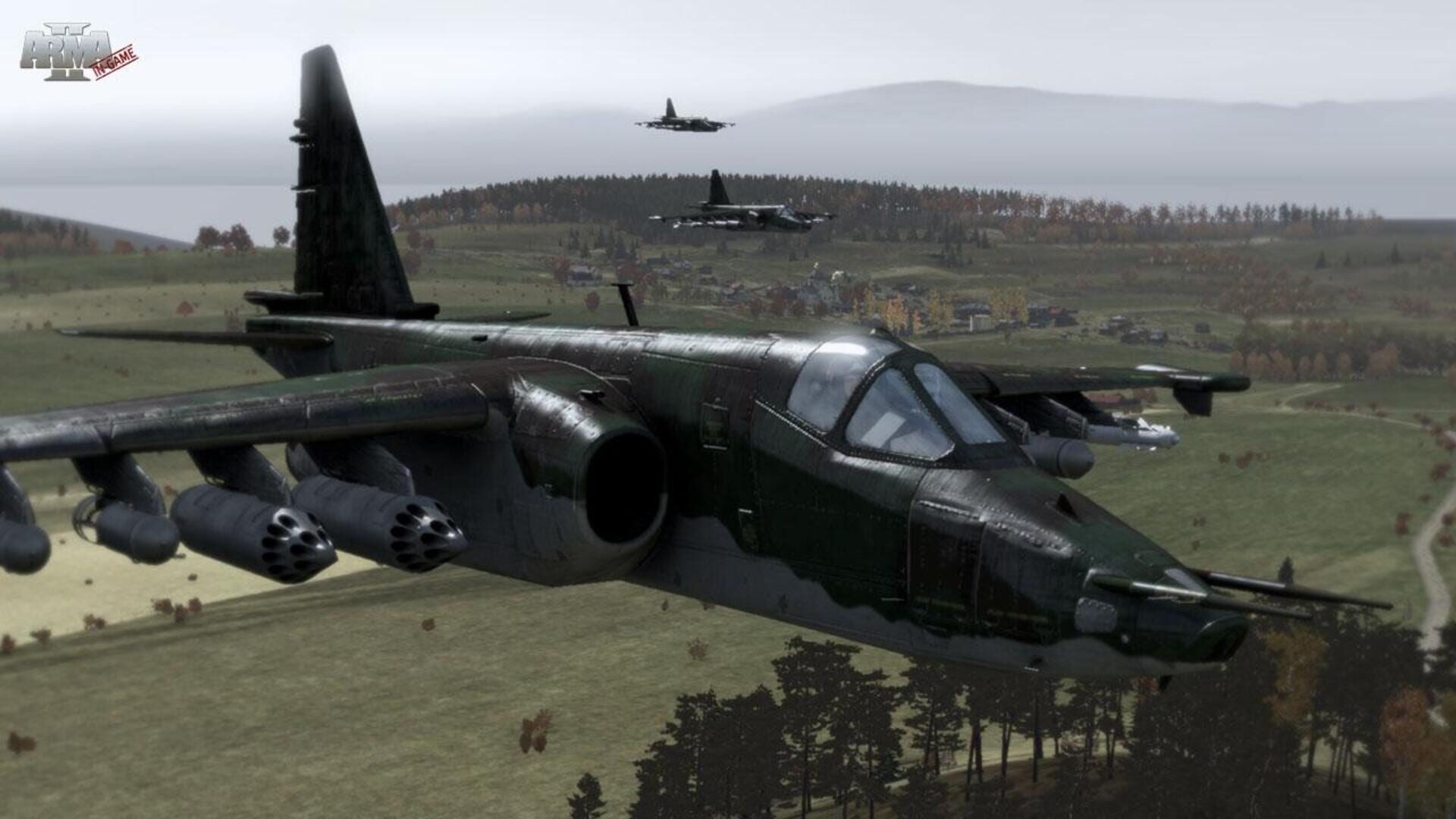 Arma 2 screenshot 3