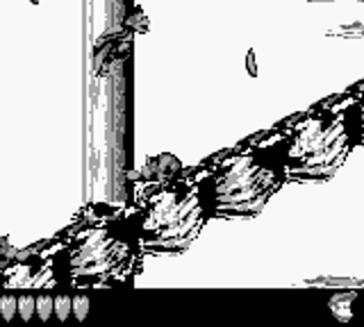 Donkey Kong Land 2 screenshot 8