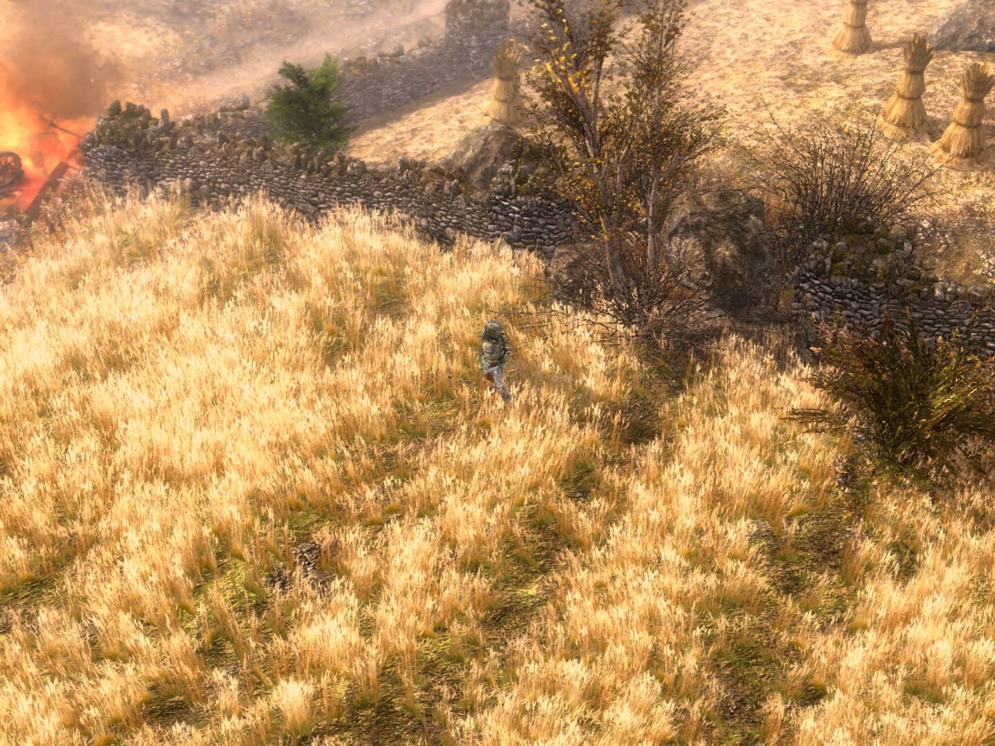 Grim Dawn screenshot 2