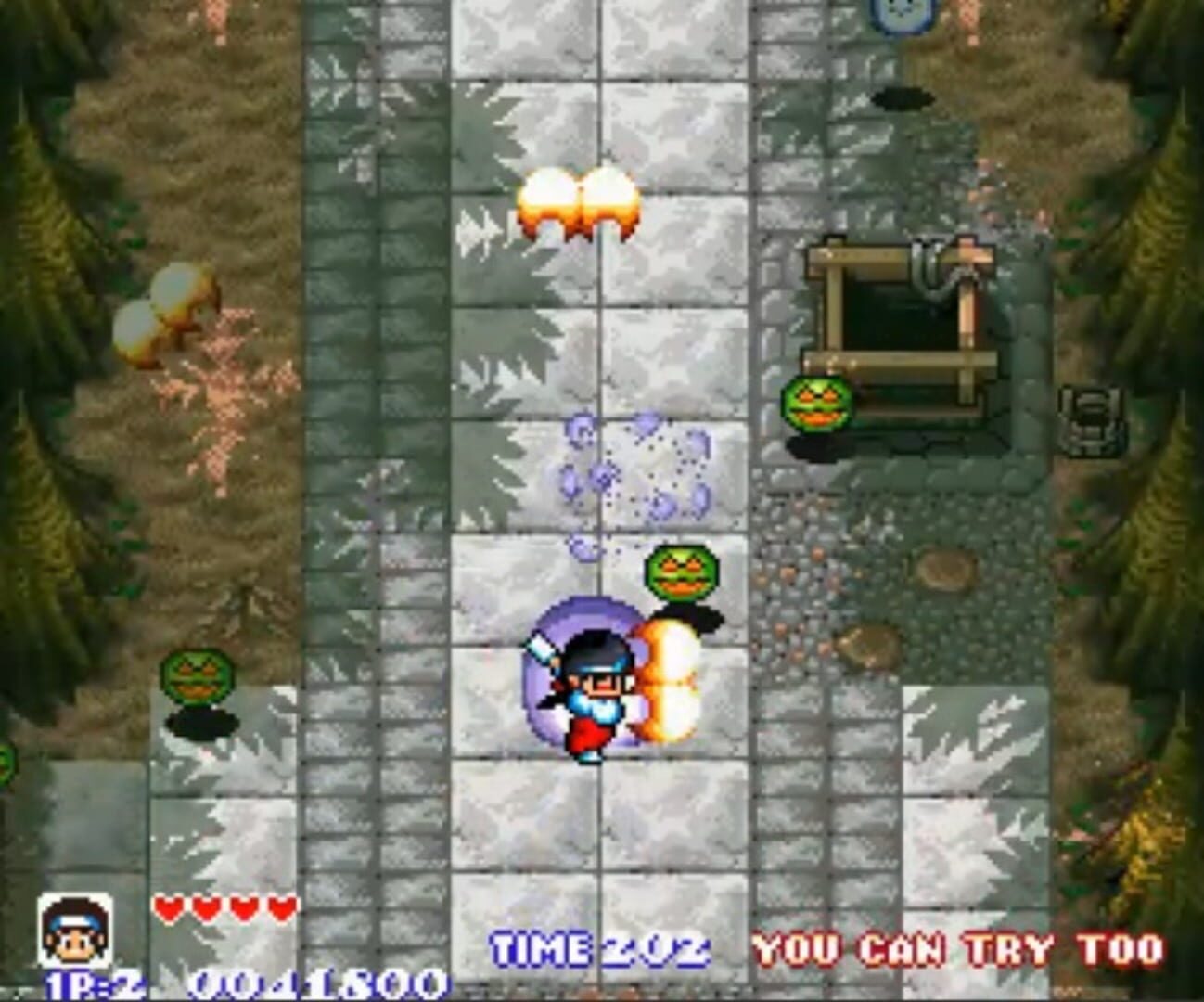 Pocky & Rocky screenshot 3