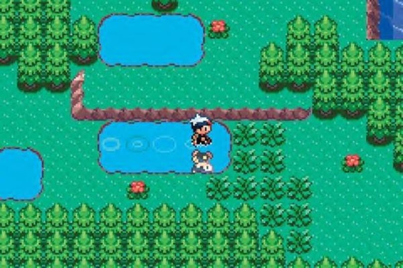 Pokémon Sapphire Version screenshot 5