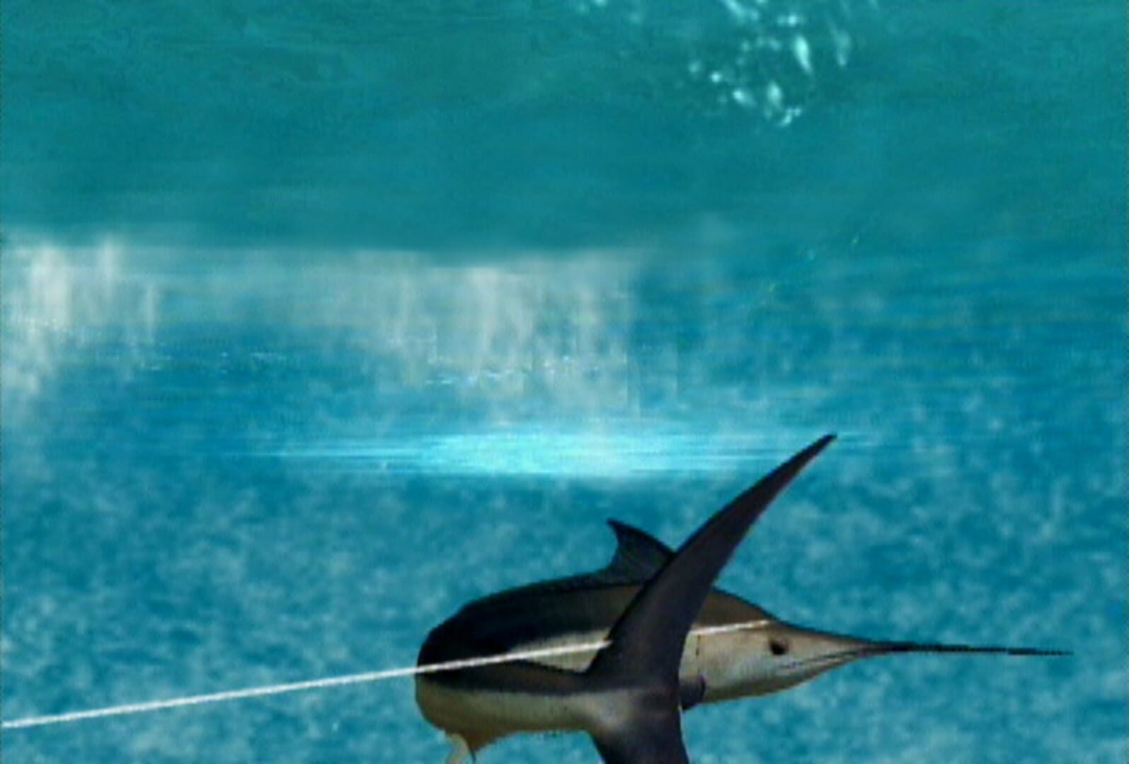 Reel Fishing: Angler's Dream screenshot 2