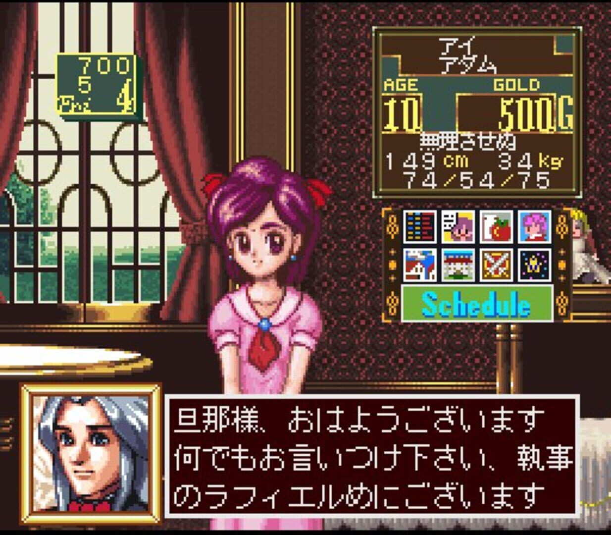 Princess Maker: Legend of Another World screenshot 6