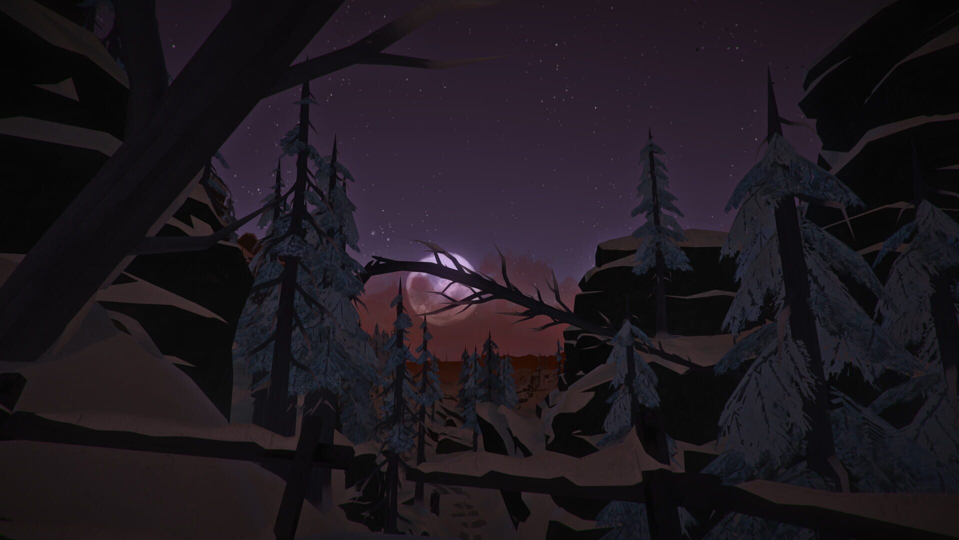 The Long Dark screenshot 5