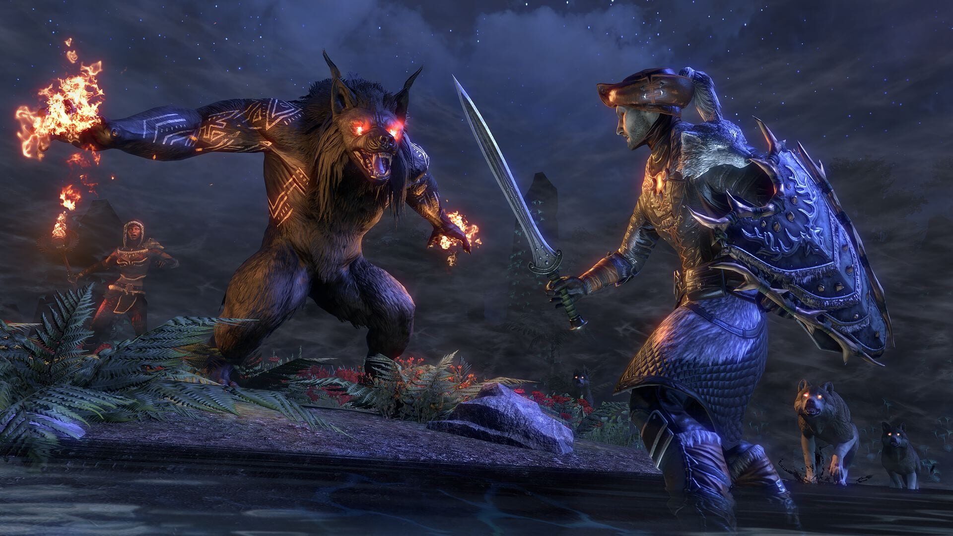 The Elder Scrolls Online screenshot 8