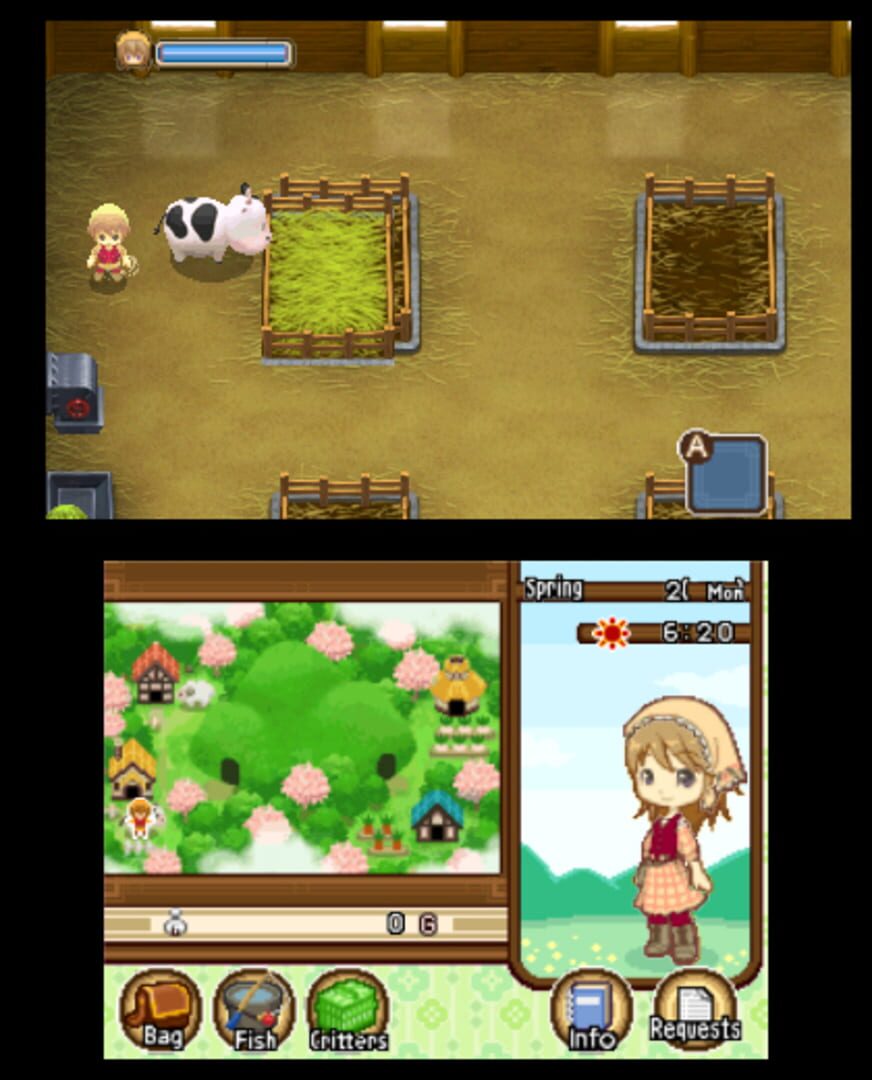 Harvest Moon: The Tale of Two Towns screenshot 7