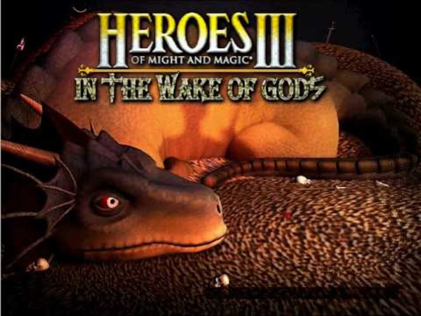 Heroes of Might and Magic 3.5: In the Wake of Gods screenshot 1