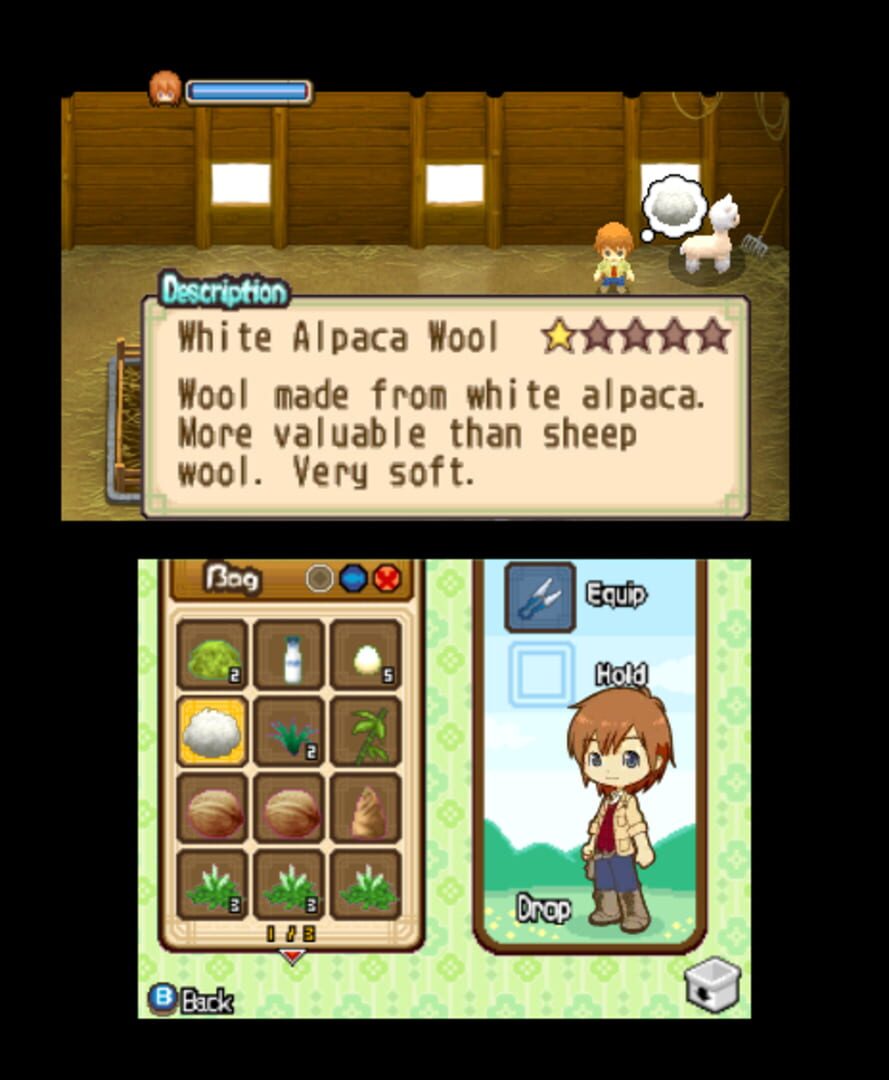 Harvest Moon: The Tale of Two Towns screenshot 12