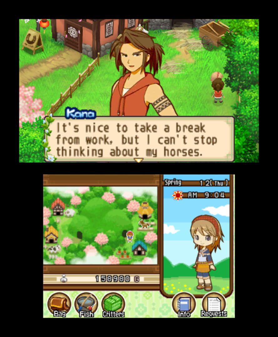 Harvest Moon: The Tale of Two Towns screenshot 4