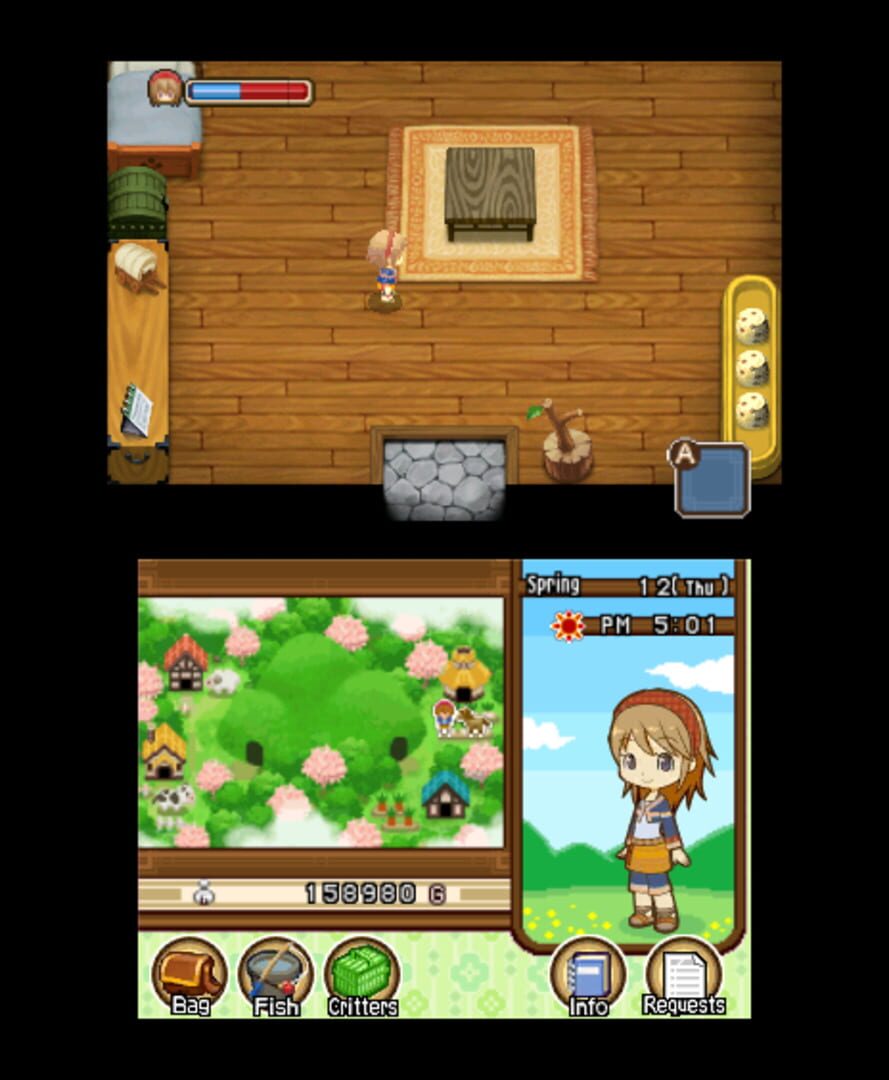 Harvest Moon: The Tale of Two Towns screenshot 5