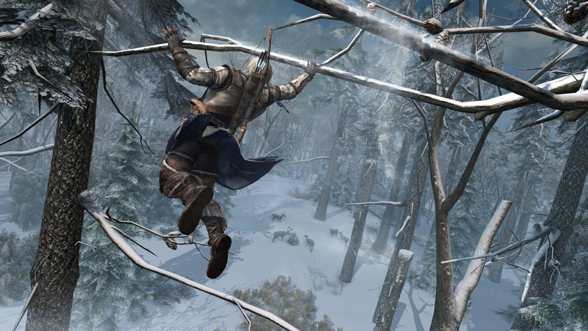 Assassin's Creed III screenshot 11