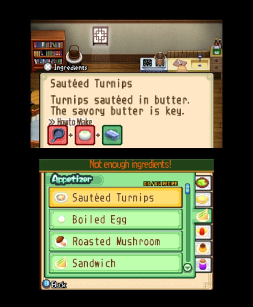 Harvest Moon: The Tale of Two Towns screenshot 6
