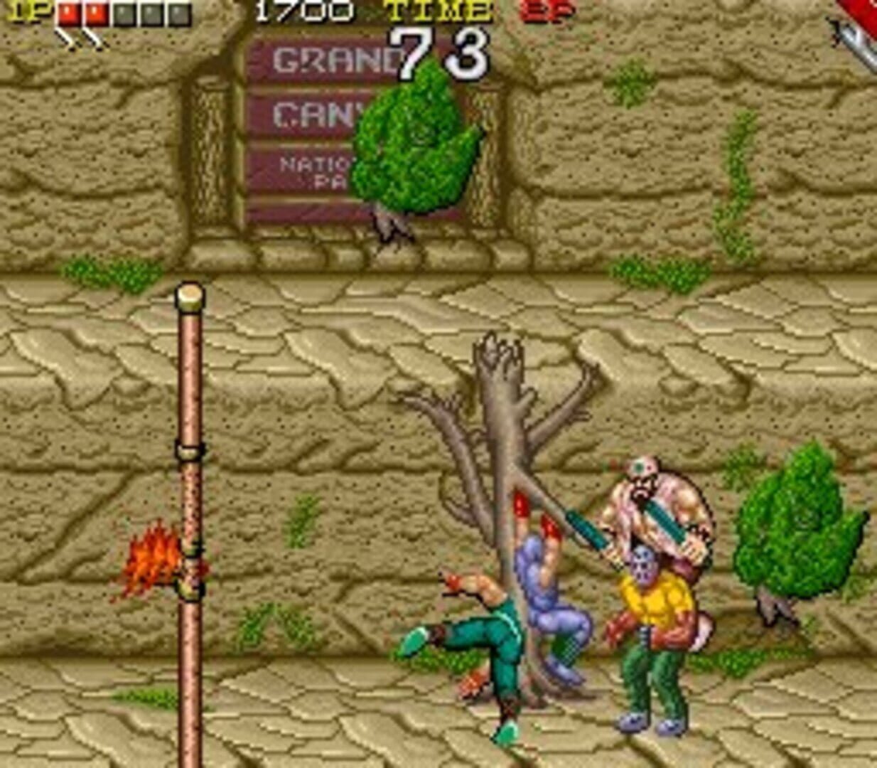 Ninja Gaiden screenshot 5