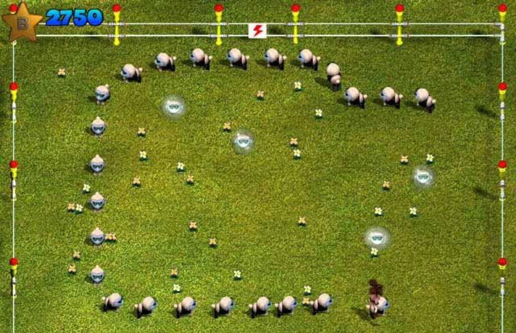 Sheep screenshot 1