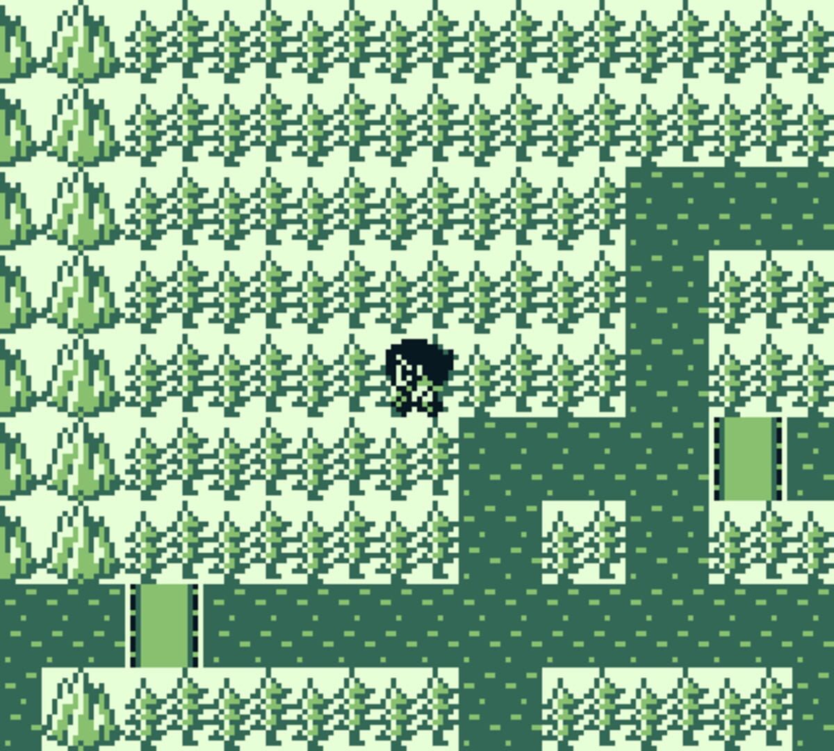 The Final Fantasy Legend screenshot 8