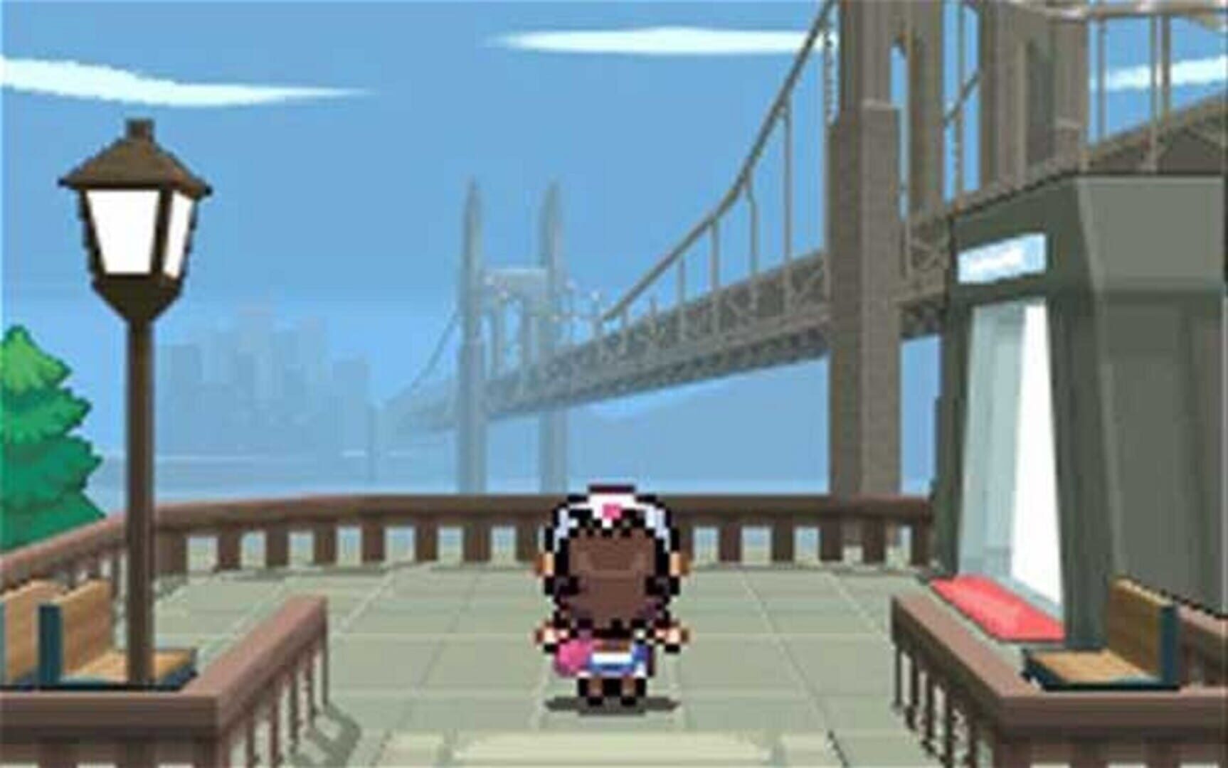 Pokémon Black Version screenshot 2
