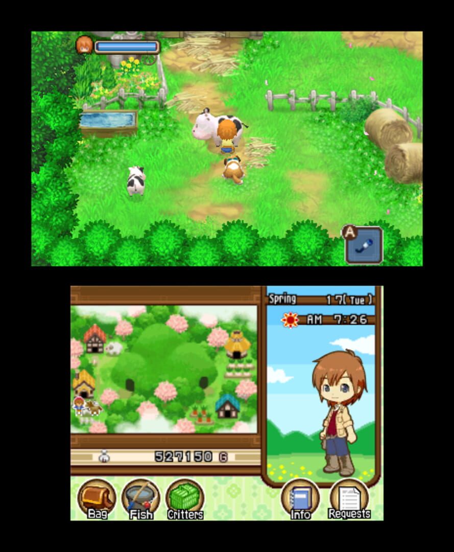 Harvest Moon: The Tale of Two Towns screenshot 8