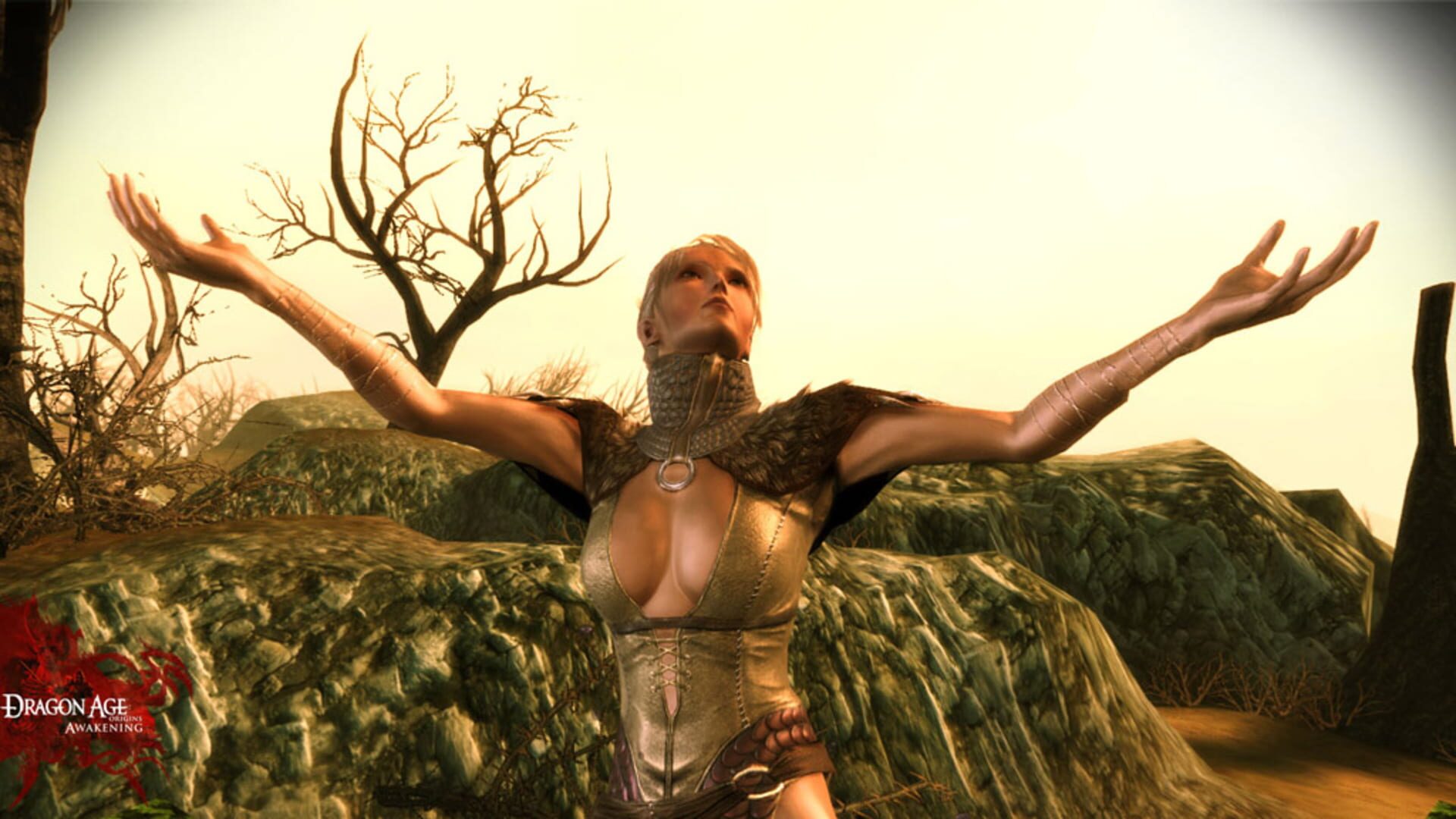 Dragon Age: Origins - Awakening screenshot 2
