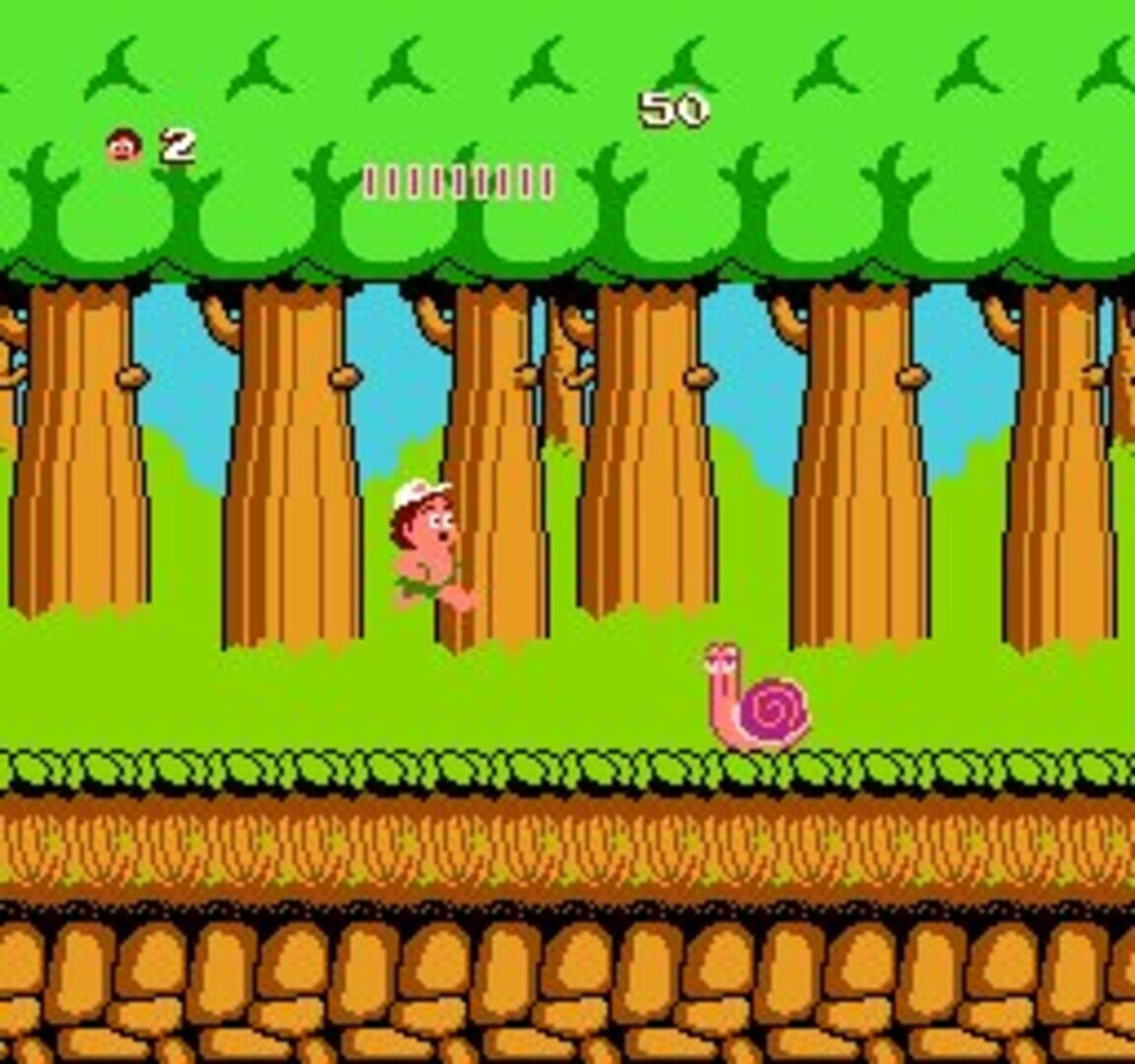 Hudson's Adventure Island screenshot 8