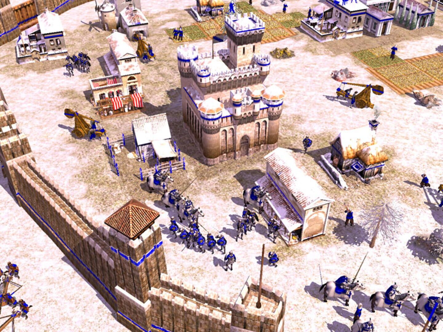 Empire Earth II screenshot 5