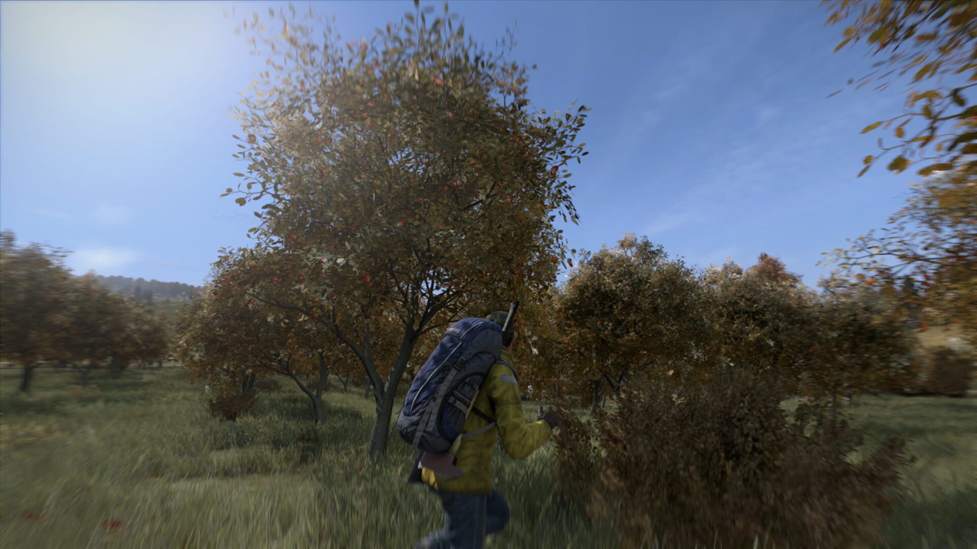 DayZ screenshot 3