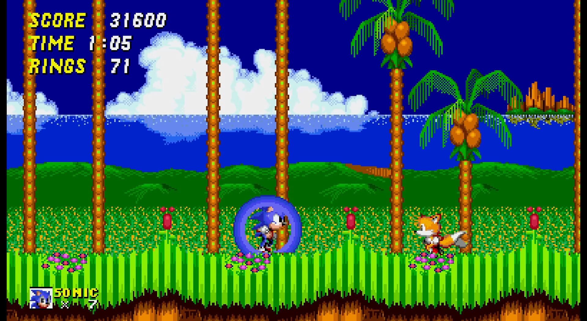 Sonic 2: Community's Cut screenshot 3