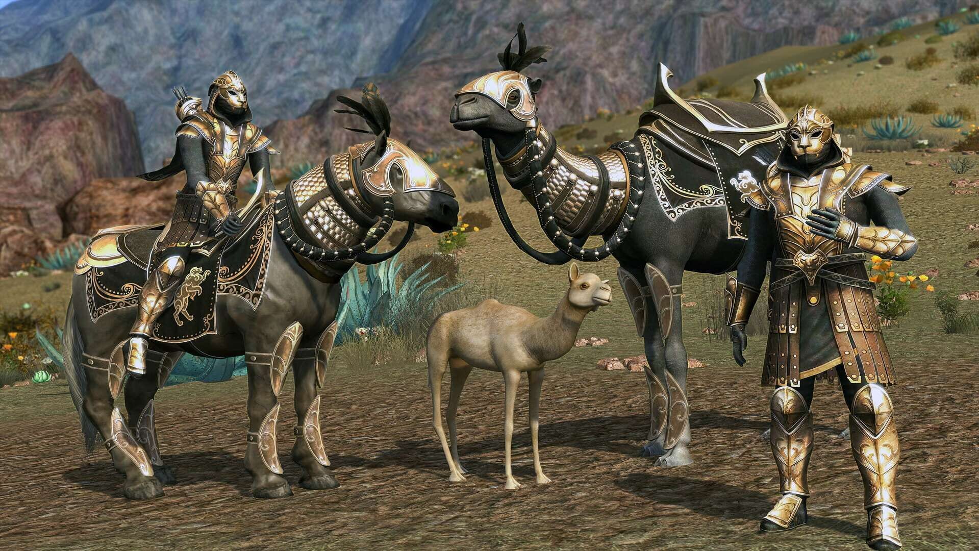 The Lord of the Rings Online: Kingdoms of Harad screenshot 6