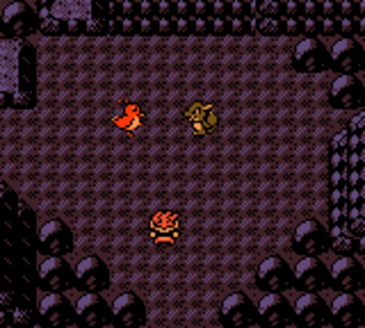 Pokémon Dark Energy screenshot 3