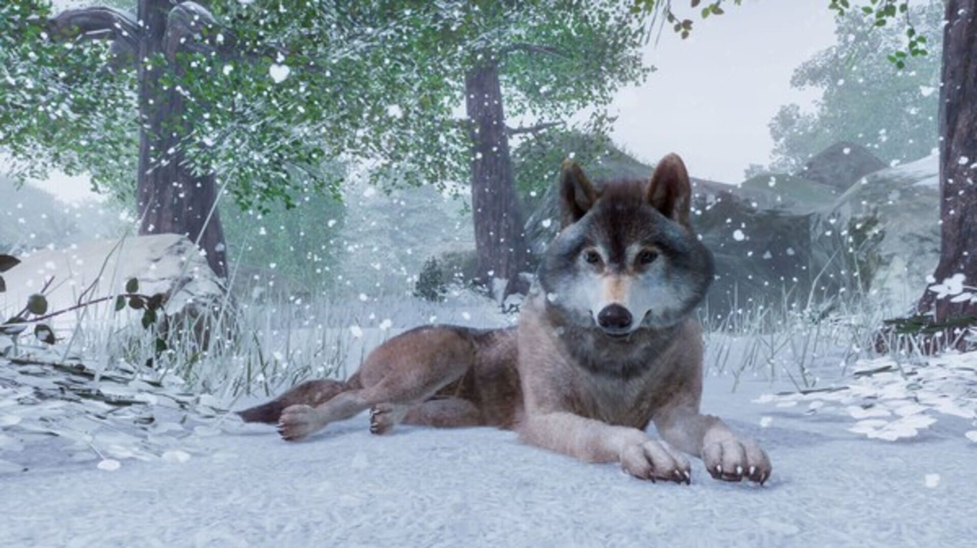 Planet Zoo screenshot 2