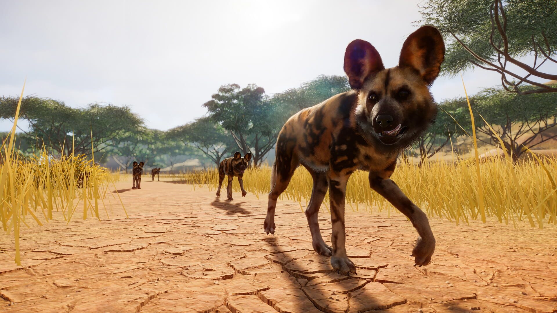 Planet Zoo screenshot 6