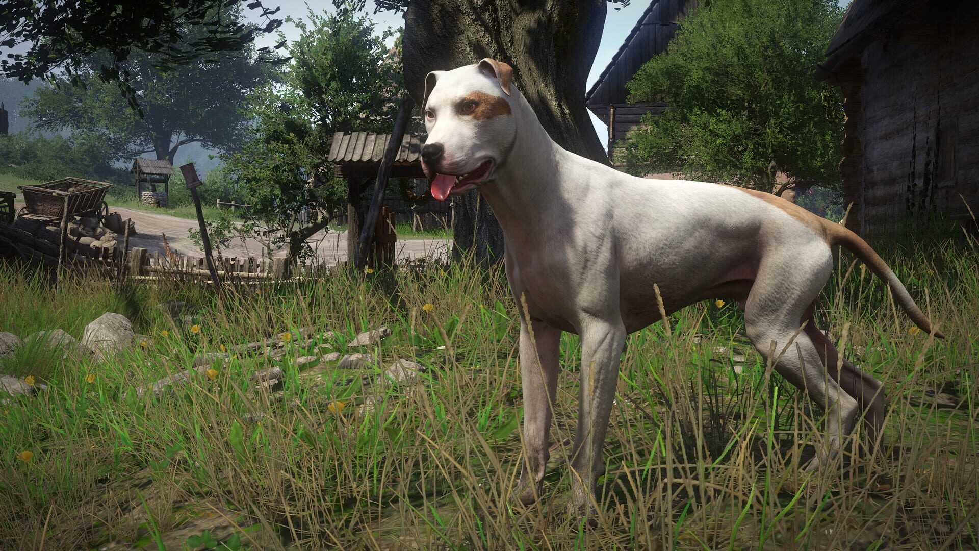 Kingdom Come: Deliverance - A Woman's Lot screenshot 3