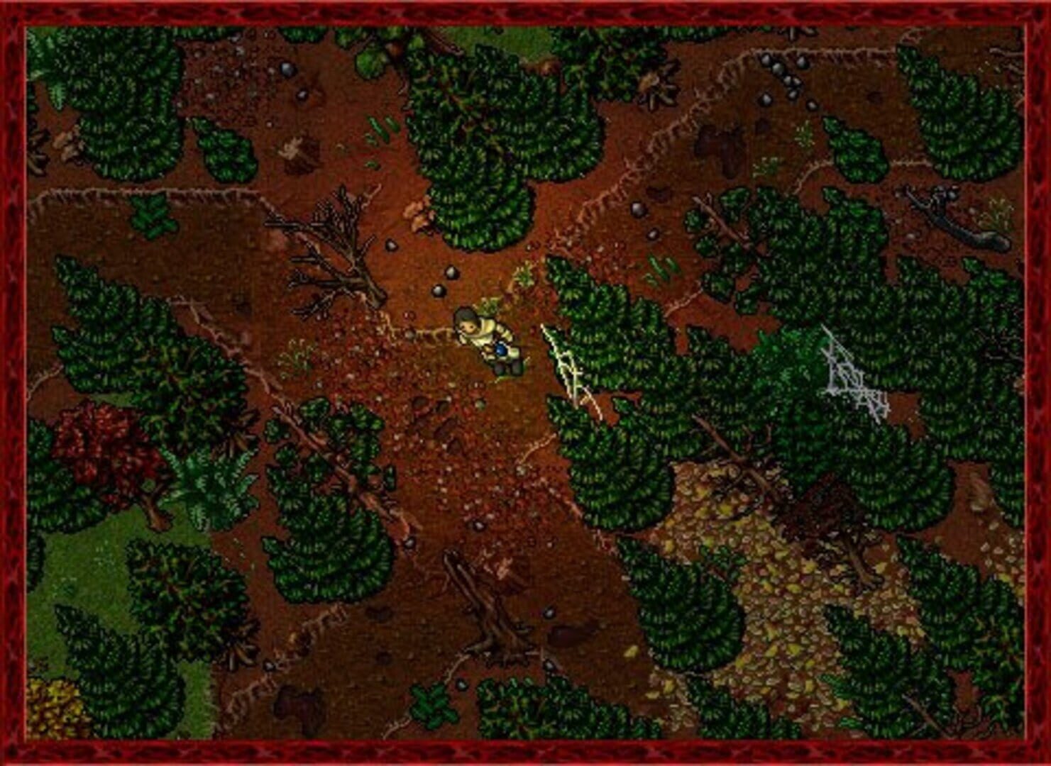 Tibia screenshot 5
