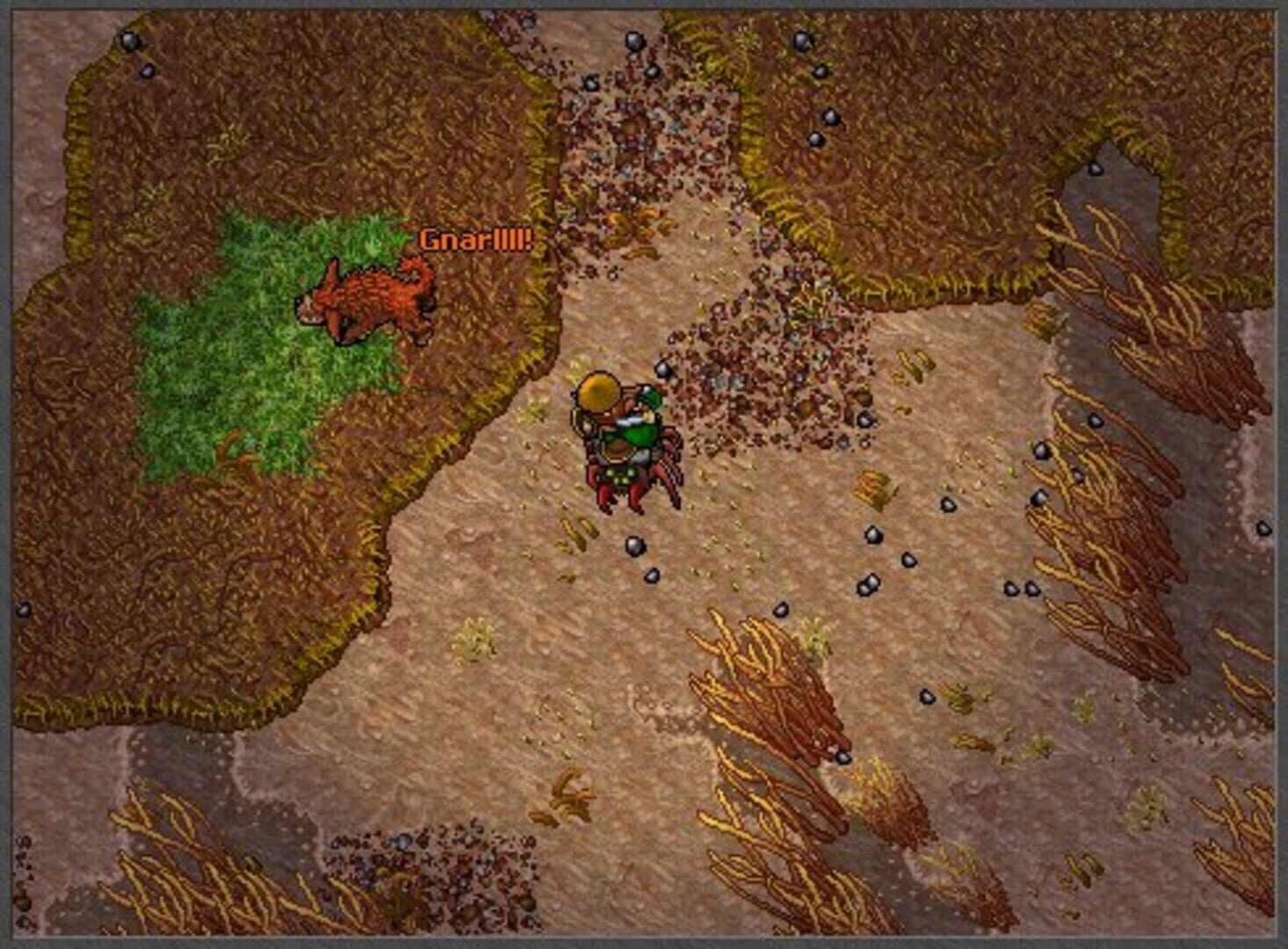Tibia screenshot 6