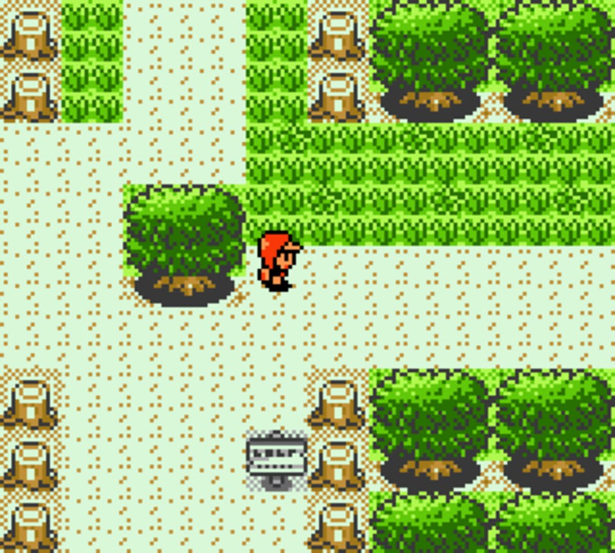 Pokémon Bronze screenshot 5