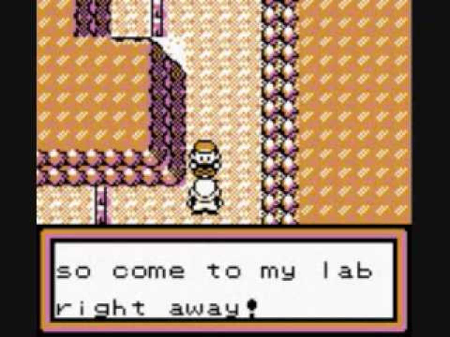Pokémon Brown screenshot 2