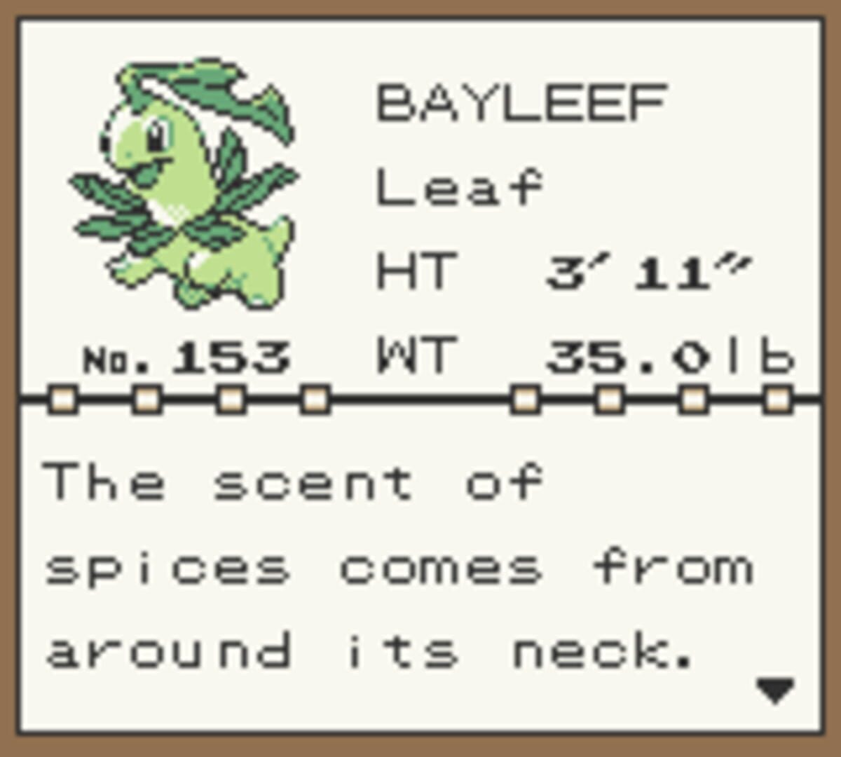 Pokémon Brown screenshot 4