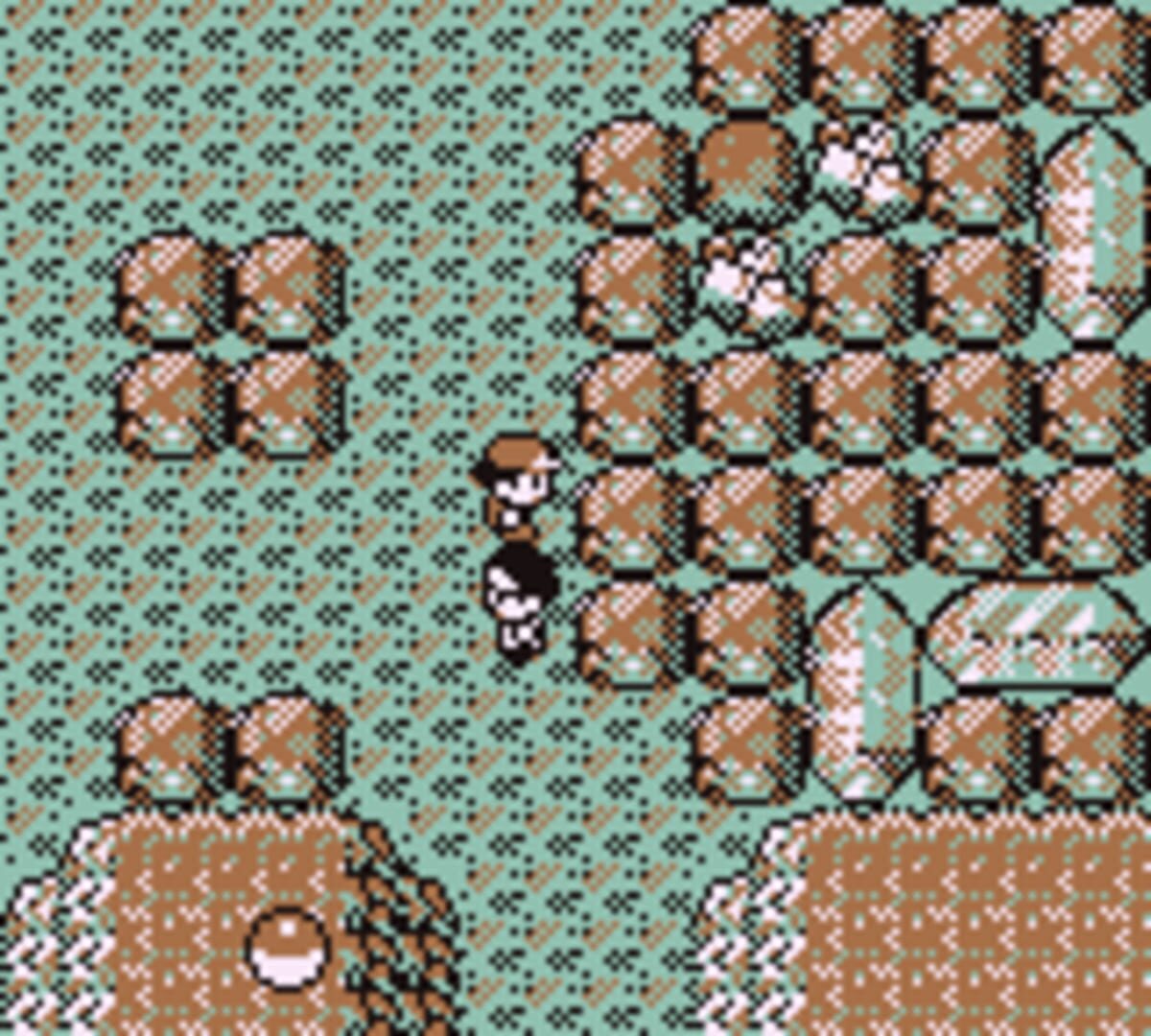 Pokémon Brown screenshot 5