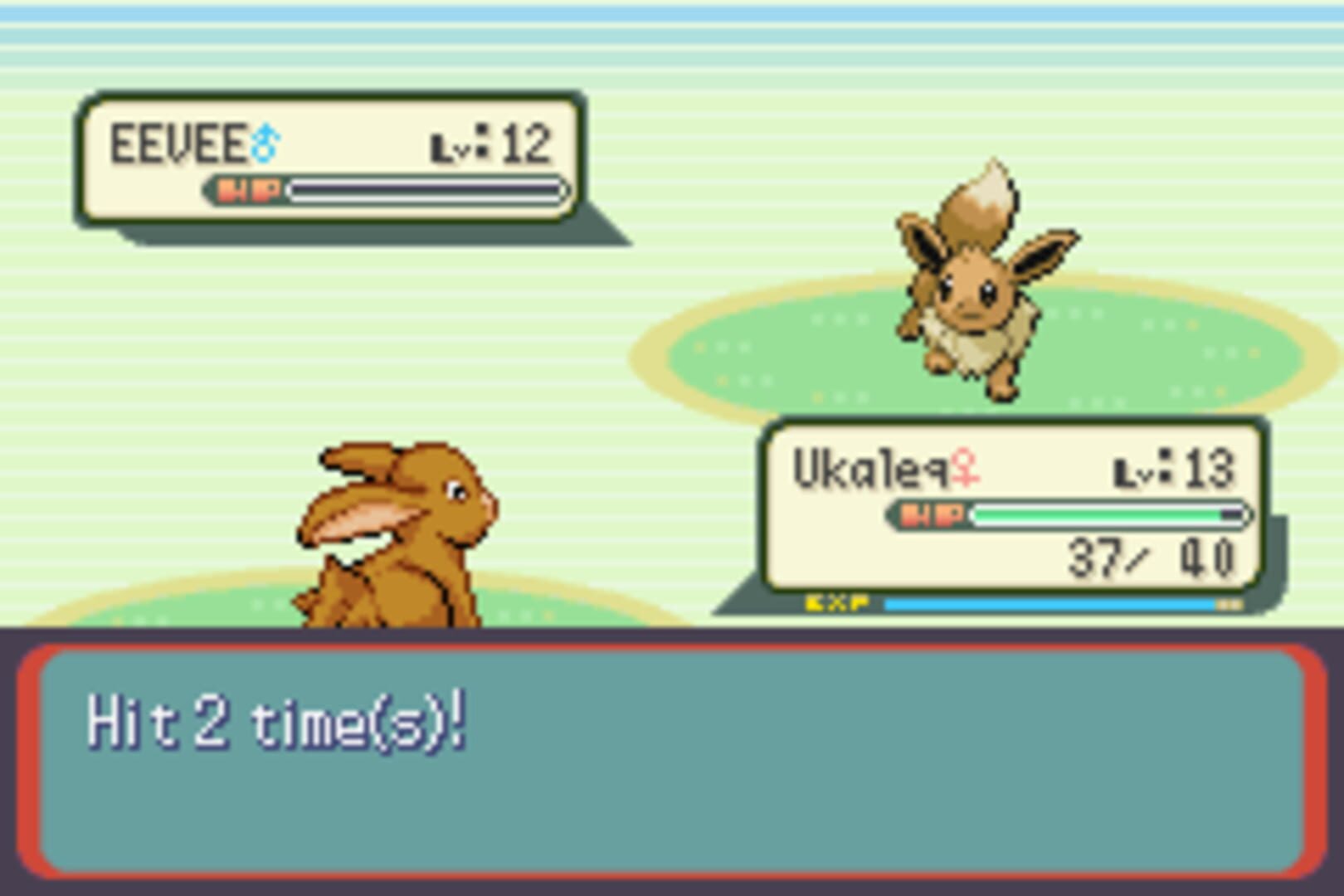 Pokémon Ruby Destiny: Life of Guardians screenshot 7