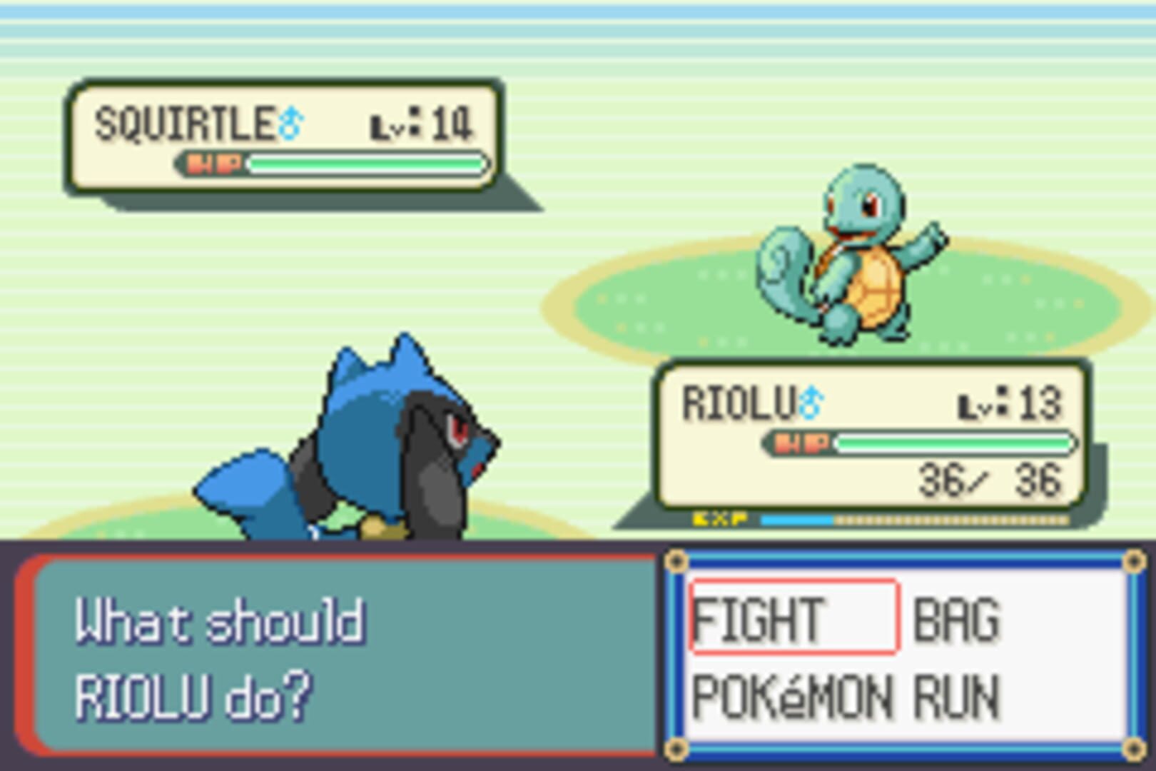 Pokémon Ruby Destiny: Life of Guardians screenshot 8