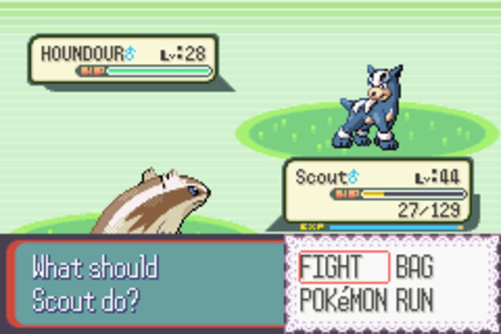 Pokémon Ruby Destiny: Reign of Legends screenshot 2